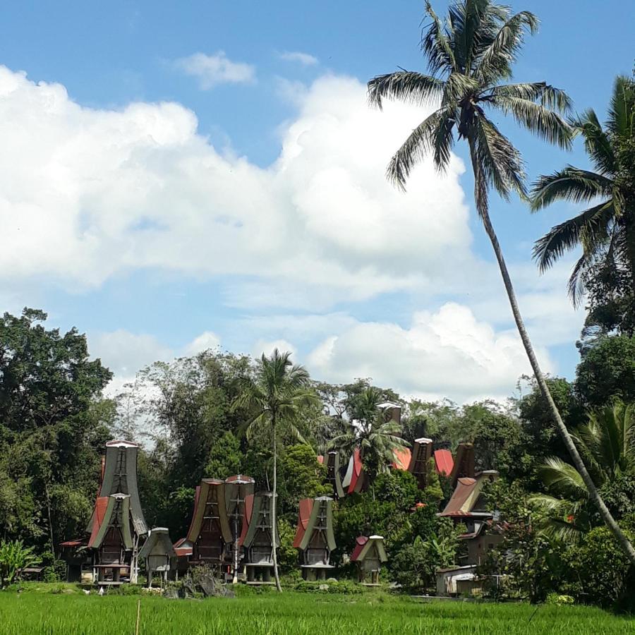 Toraja Manubackpacker Hotel Рантепао Екстериор снимка